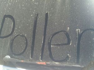 Pollen Sign