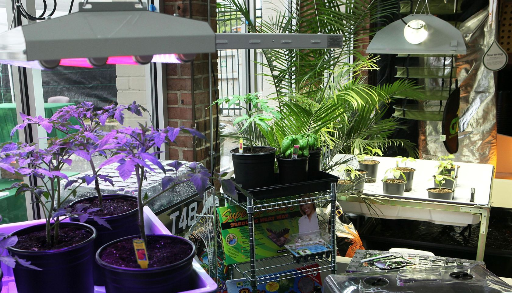 Medical Marijuana Chain Store Opens Up Outlet In Nation's Capital