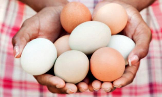 Black woman holding eggs