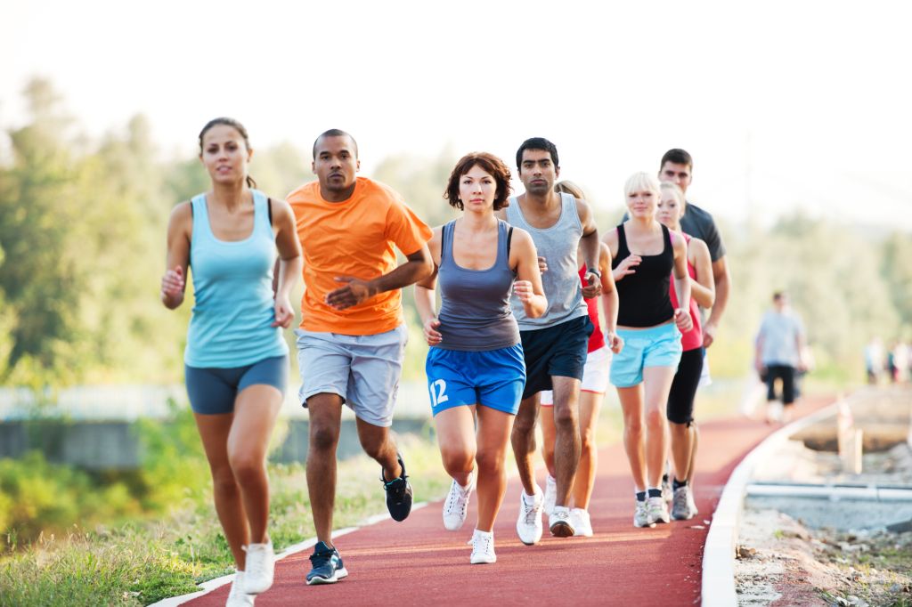 Group of runners in a cross country race.