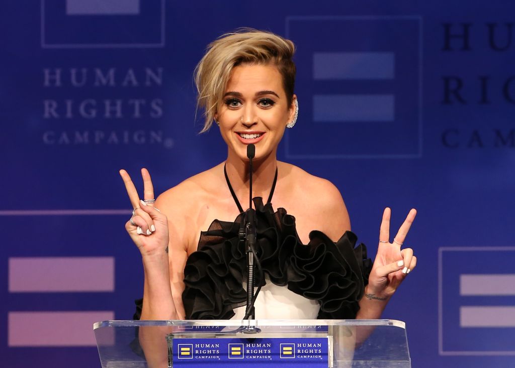 Human Rights Campaign's 2017 Los Angeles Gala Dinner - Show