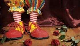 Clown feet with roses