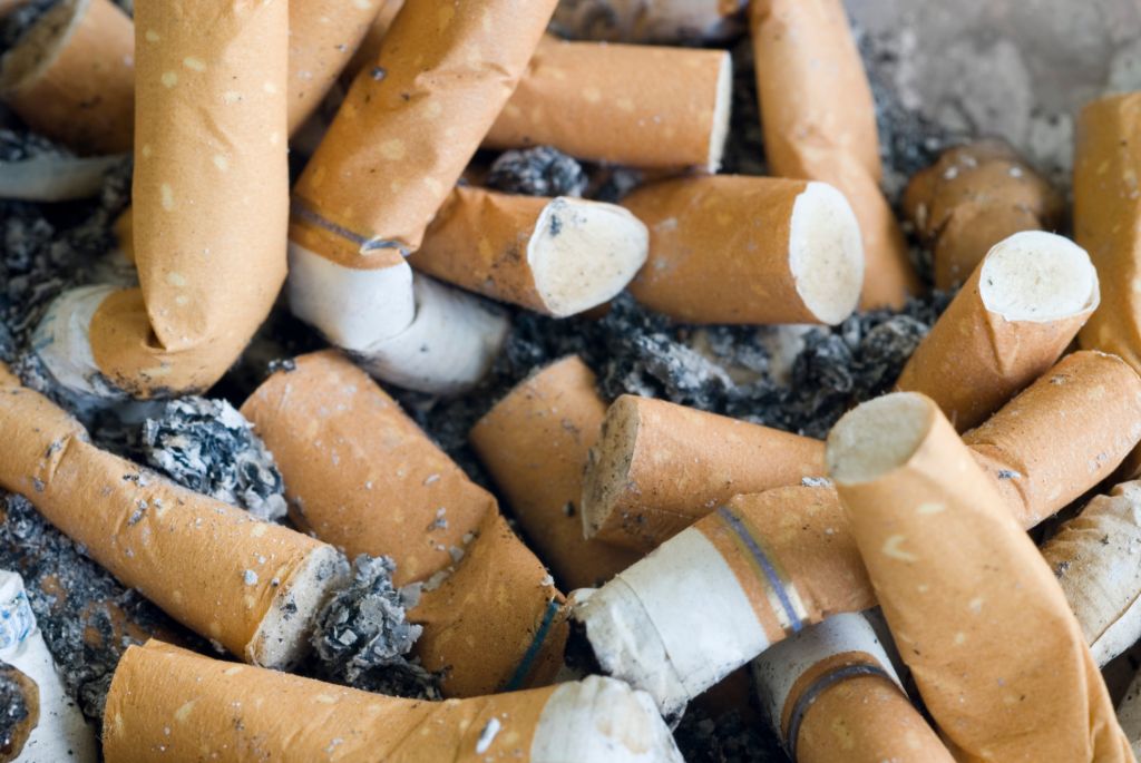 Close-Up Of Burnt Cigarettes In Ashtray