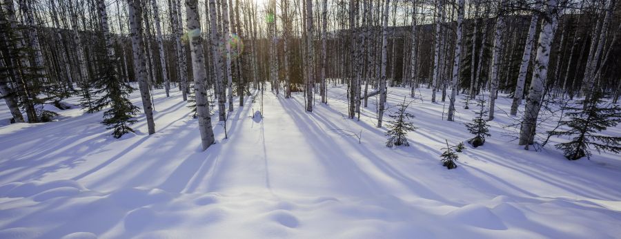 Christmas eve 2020 snow potential LOCAL: Northeast Ohio to Be Under a Winter Storm Watch During Christmas | WERE-AM 1490