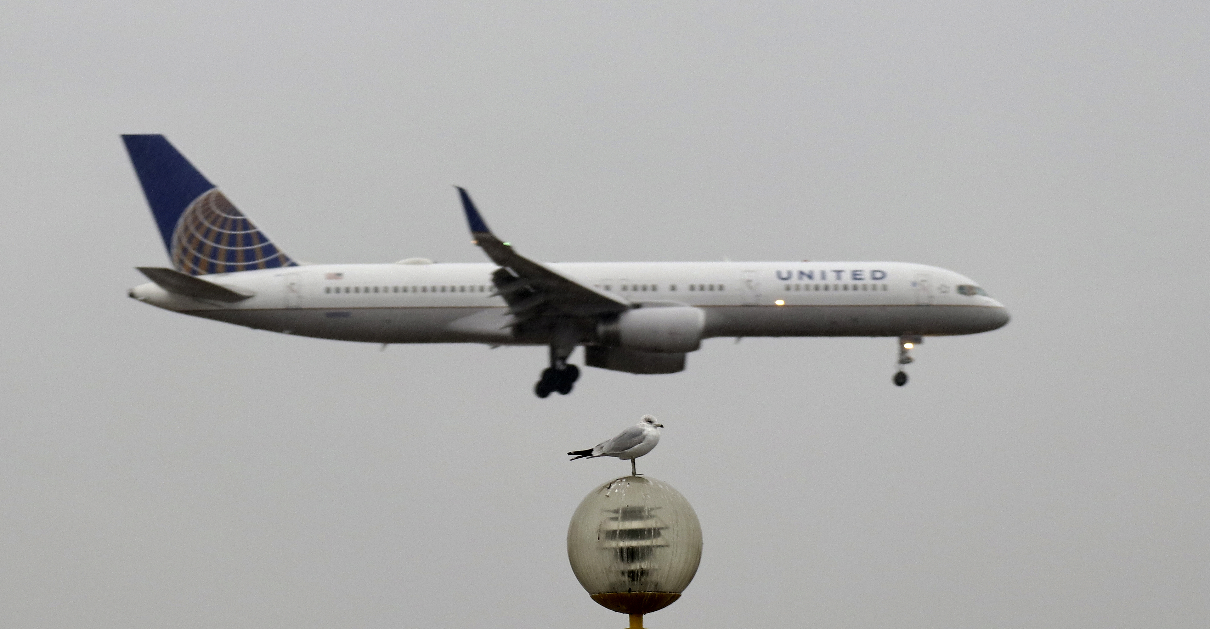 Airplanes on Approach to Newark Liberty Airport