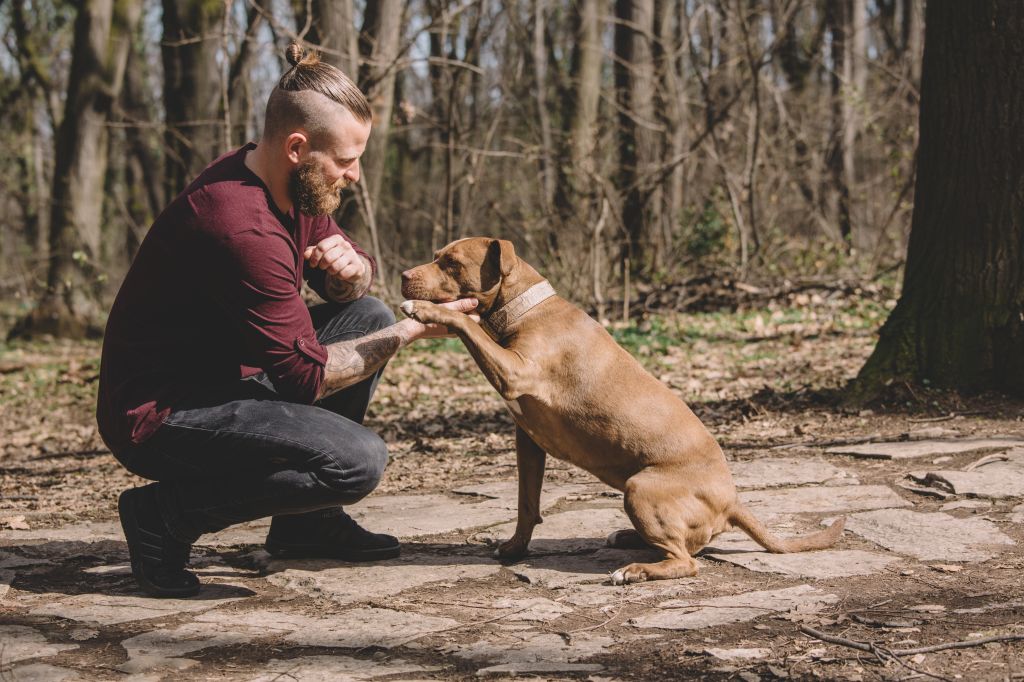 Young Man Training His Dog