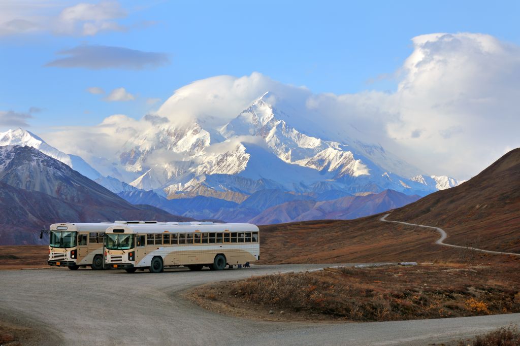 Buses and tourists at viewpoint with Mount Denali in background