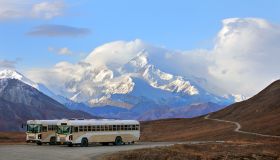 Buses and tourists at viewpoint with Mount Denali in background