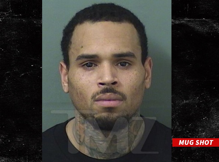 Chris Brown mugshot