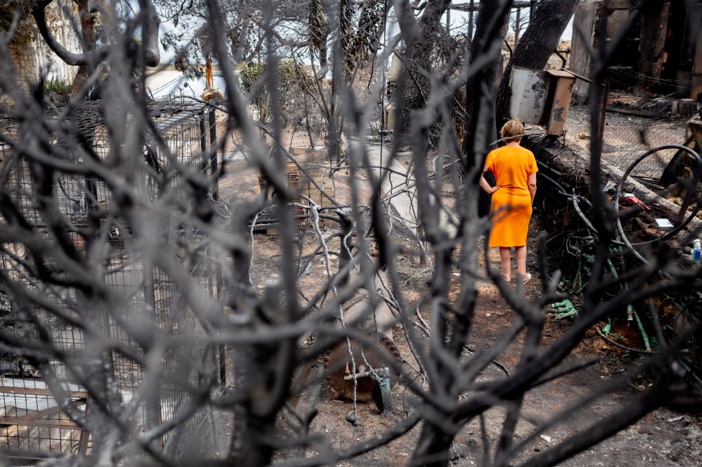 Forest fires in Greece