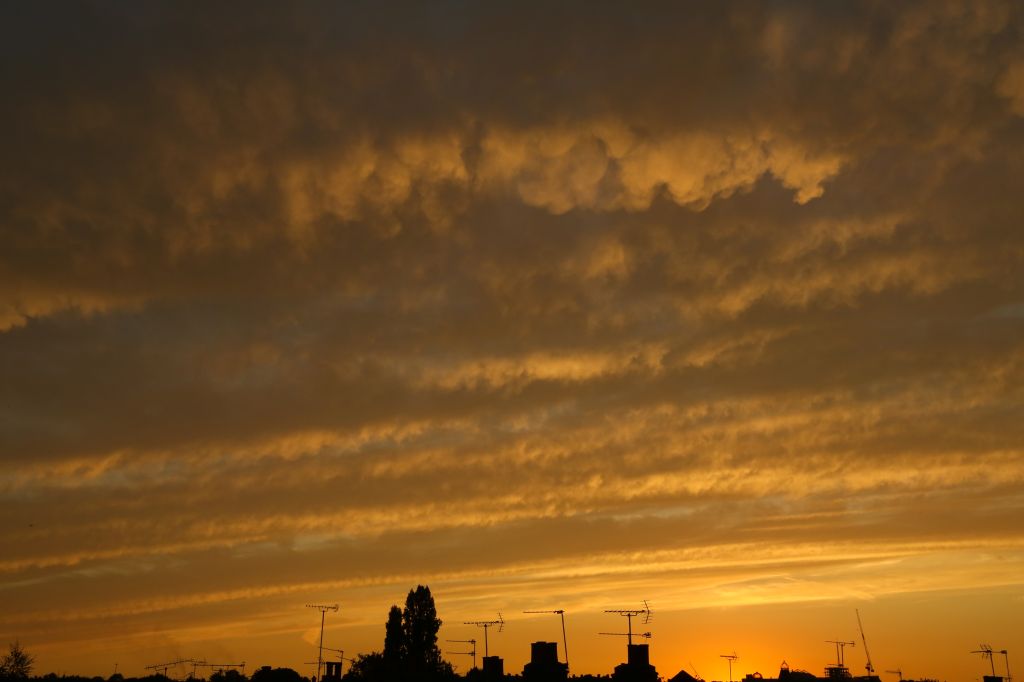 Golden sunset over North London