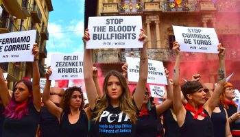 Hundreds protest bullfighting's bloody stain on Pamplona