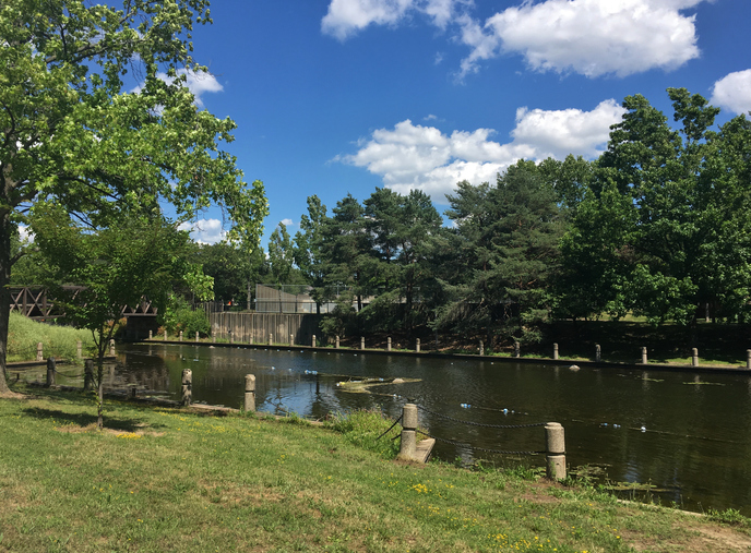 Public park along the historical canal, Cuyahoga Valley National Park, Akron, Ohio, USA