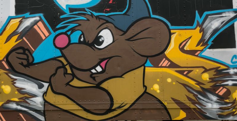 Exploring North Carolina's Asheville