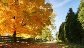 Autumn Road Ohio
