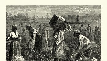 Scene on a cotton plantation, Southern USA, 19th Century