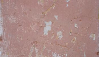 Pink Painted Wall Texture