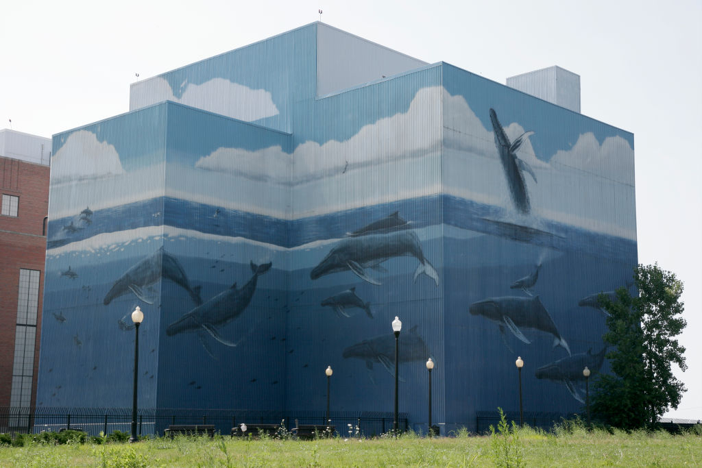 A whale mural on the Public Power Generating Station.