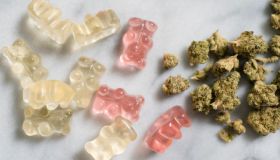 Marijuana and gummy bear edibles