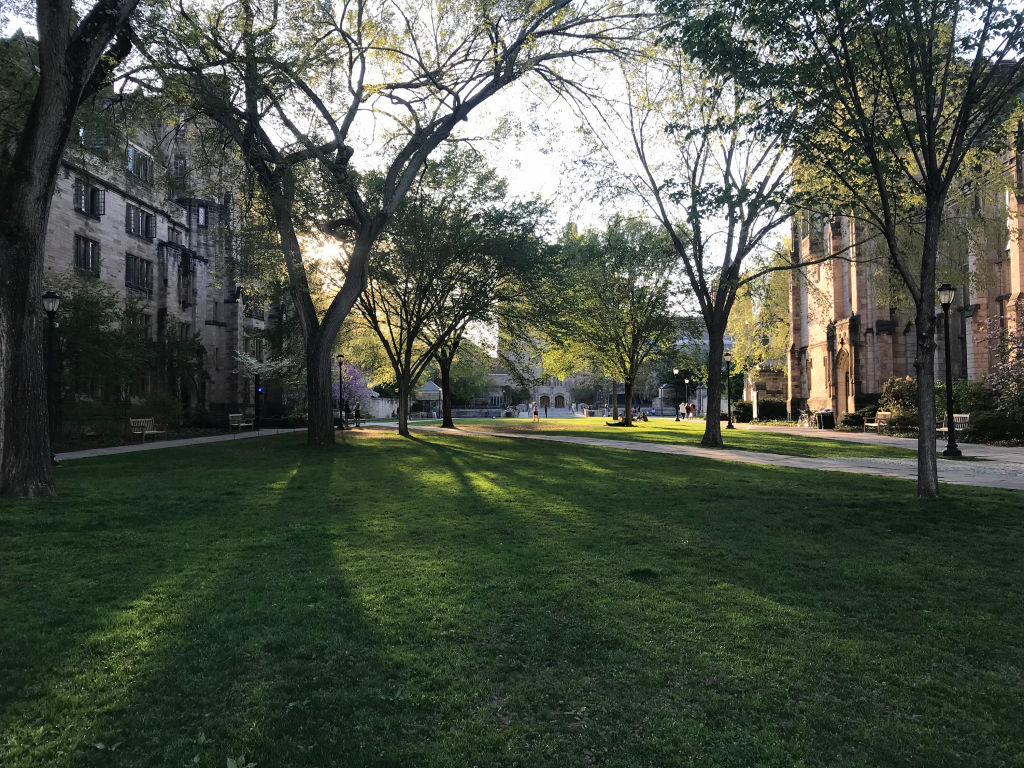 Yale rescinds student's admission in wake of national bribery scandal