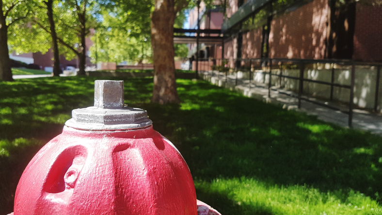 Close-Up Of Fire Hydrant In Park