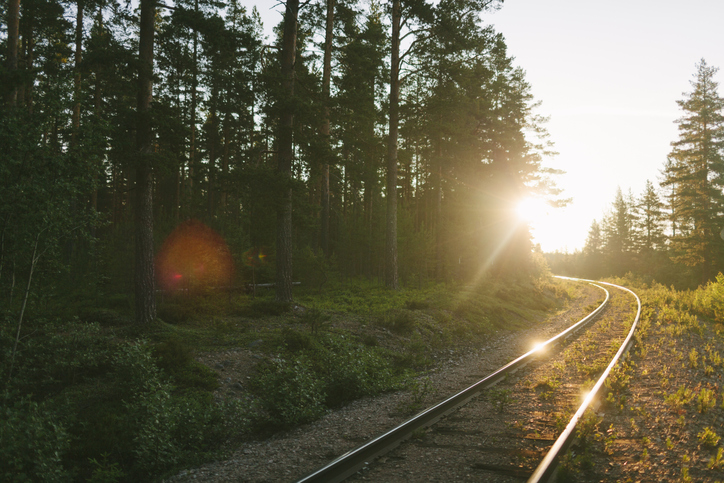 Railroad tracks along forest
