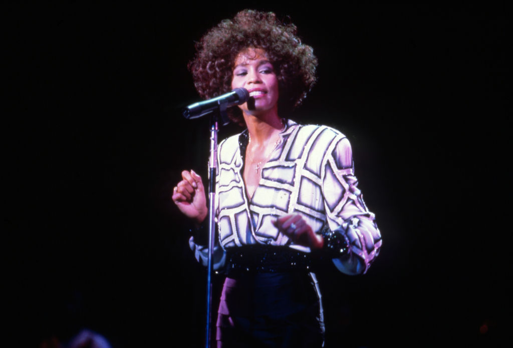 Whitney Houston In Clarkston, MI
