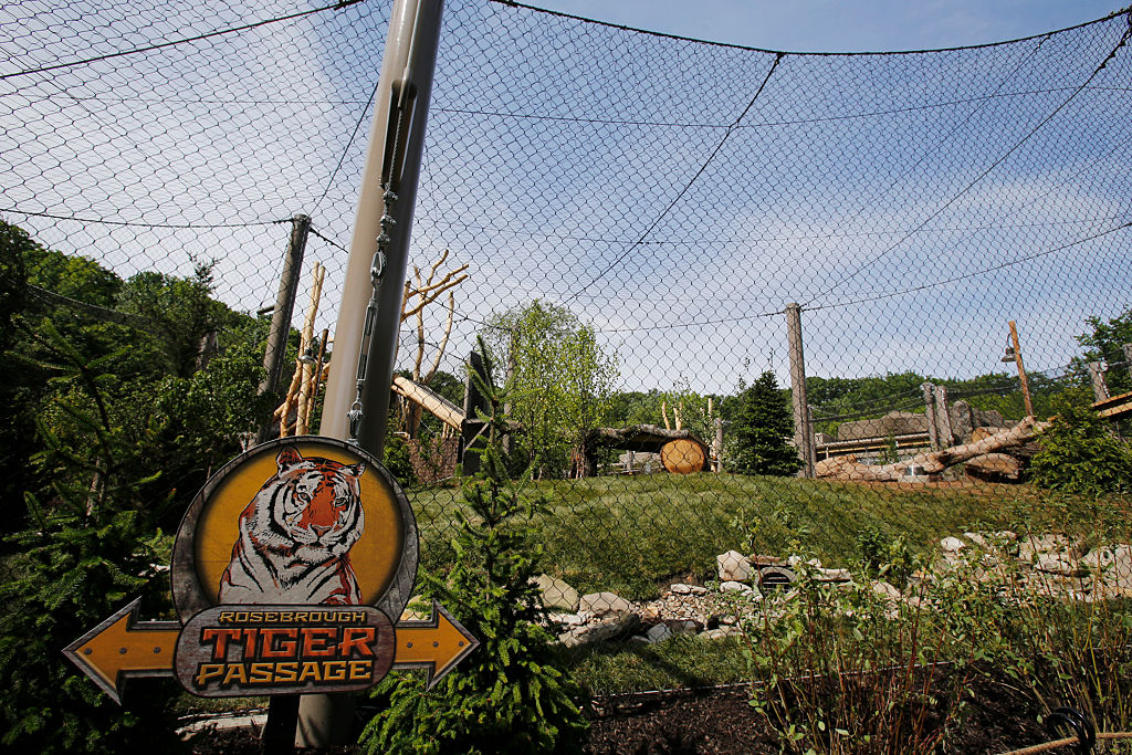 Cleveland Zoo Presenting a Way to See The Animals From Your Own Vehicle