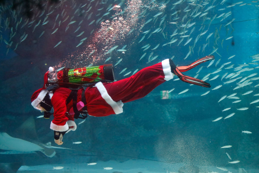 Santa Under Water Show