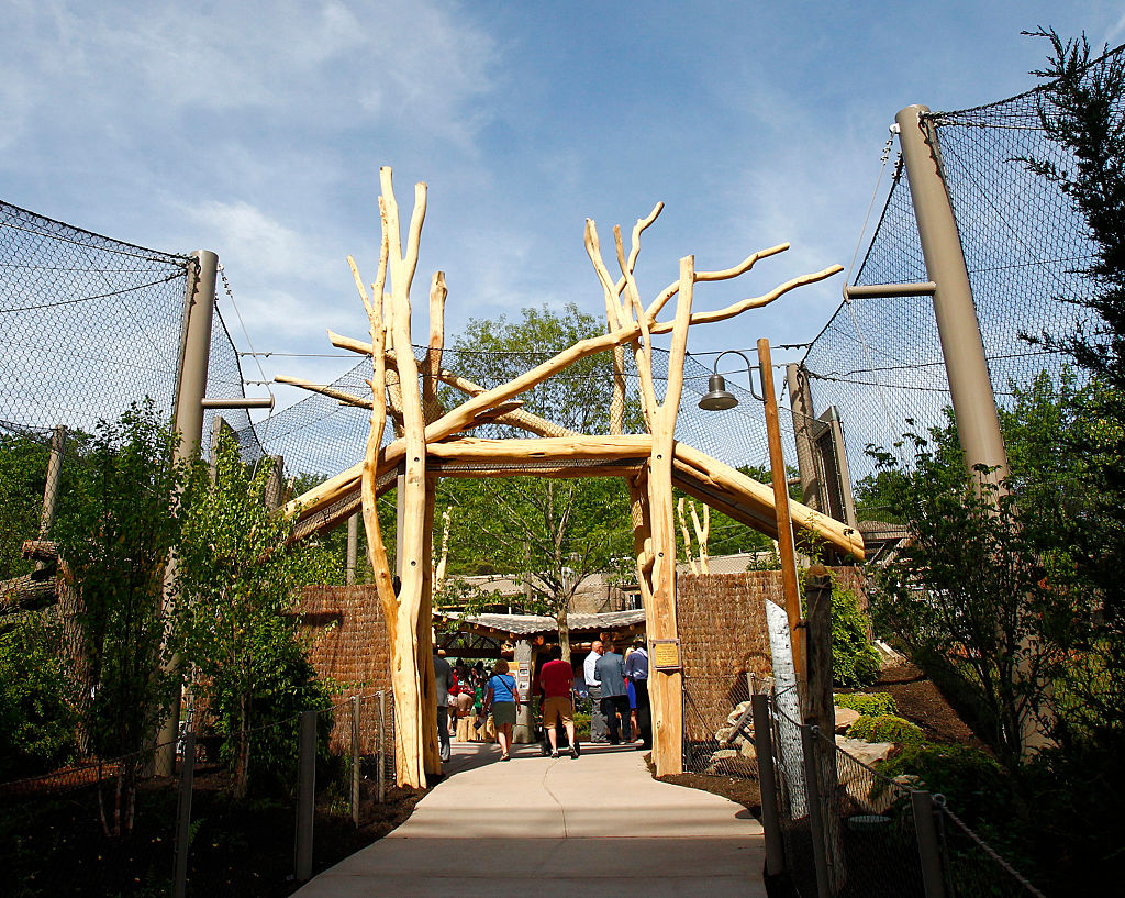 Face to face with a tiger, Cleveland Zoo opens new exhibit