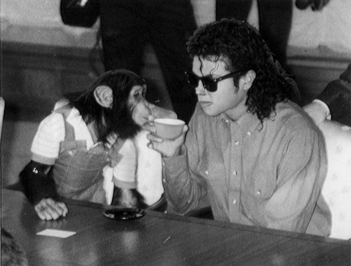 Michael bought his pet chimp Bubbles from a Texas research facility in the 1980s.