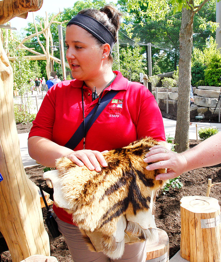 Face to face with a tiger, Cleveland Zoo opens new exhibit