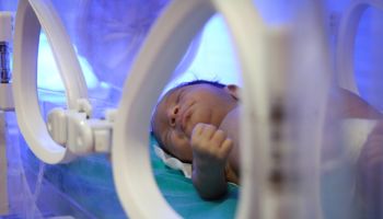 Portrait Of Cute Baby In Incubator