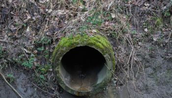 Drainage in ditch