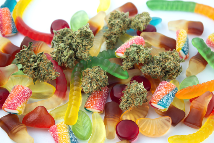 Dried medical marijuana buds lie among gummies of various shapes and flavors. On a cold white background