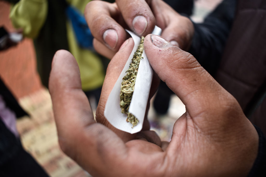 420 Cannabis day Celebrations in Colombia