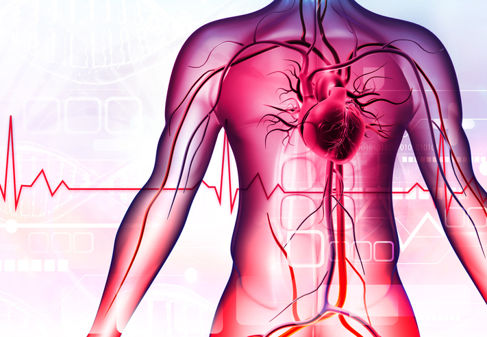 Healthy human body and heart with ecg graph