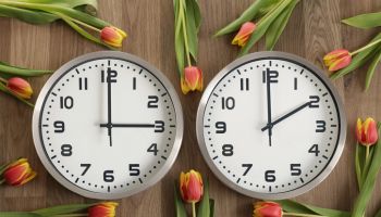 For right-to-left readres: Two clocks, one showing two o'clock, the other showing three o'clock. Tulips lie around.