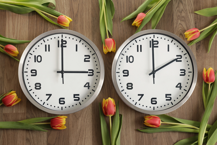 For right-to-left readres: Two clocks, one showing two o'clock, the other showing three o'clock. Tulips lie around.
