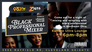 Black Professional Mixer