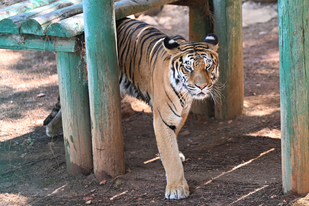 Gaziantep Zoo, hosts more than 2 million visitors in the first half of the year in Turkiye