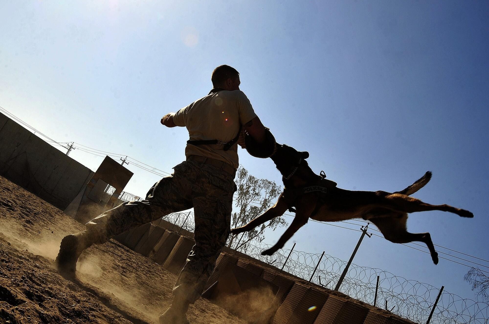 A single animal attack can be all it takes to devastate finances